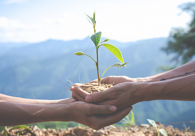 Exploring the Difference Between Natural and Organic Cosmetics Ingredients